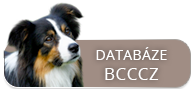 Klubová databáze border kolií